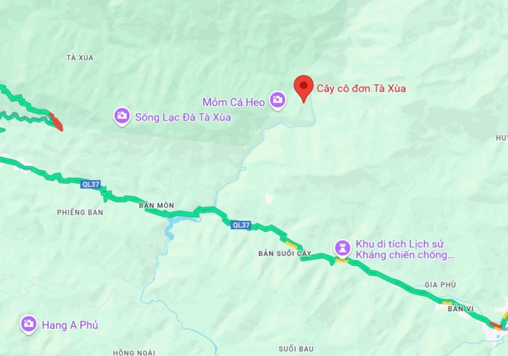 Vị trí của cây Cô Đơn trên bản đồ